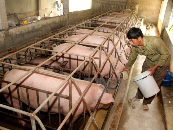 Nhiều rào cản chính sách ảnh hưởng đến thương mại nông sản nội địa