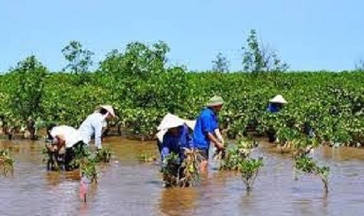 930 tỷ đồng hỗ trợ Việt Nam ứng phó biến đổi khí hậu
