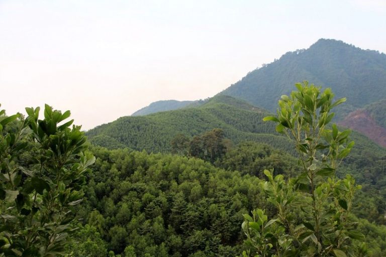 Nơi địa đầu tổ quốc đi lên từ rừng (Kỳ 5): Đưa keo về bản