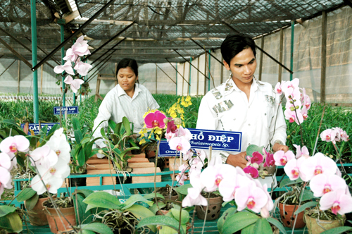 Kon Tum: Kêu gọi phát triển nông nghiệp công nghệ cao