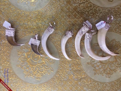 Bí mật bên trong những nhà hàng chuyên “xẻ thịt” động vật hoang dã