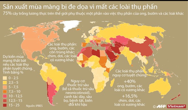 Sản xuất mùa màng bị đe dọa vì mất các loài thụ phấn