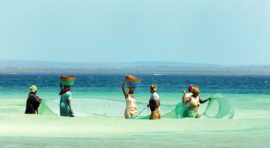 Sản lượng đánh bắt cá suy giảm đe dọa sức khỏe con người