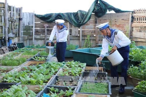 Giải pháp mới cho “Trường Sa xanh”