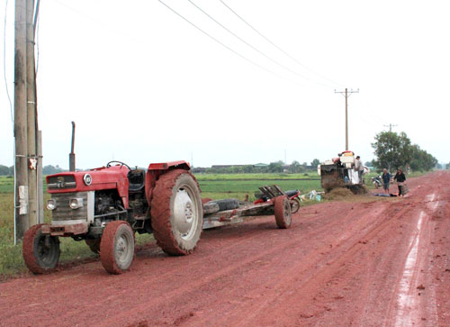 TP. Hồ Chí Minh: “Nhức đầu” quy hoạch đất nông nghiệp