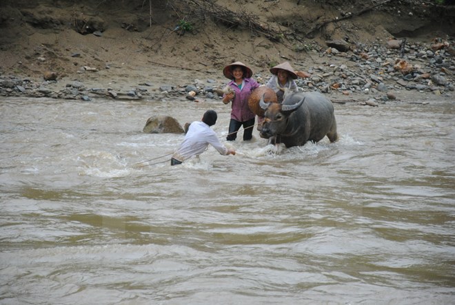 Lũ sông Thao và các sông từ Thanh Hóa đến Nghệ An tiếp tục lên nhanh