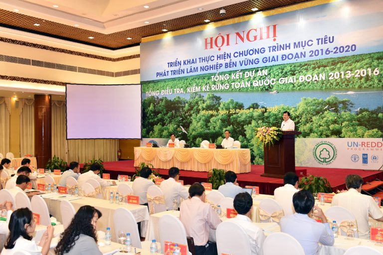 Phó Thủ tướng chủ trì hội nghị triển khai chương trình lâm nghiệp bền vững
