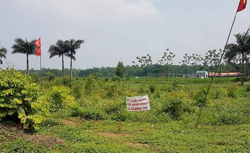 Vụ Đồng Tâm: Thu hồi toàn bộ đất Quốc phòng bị lấn chiếm, xử nghiêm cá nhân vi phạm