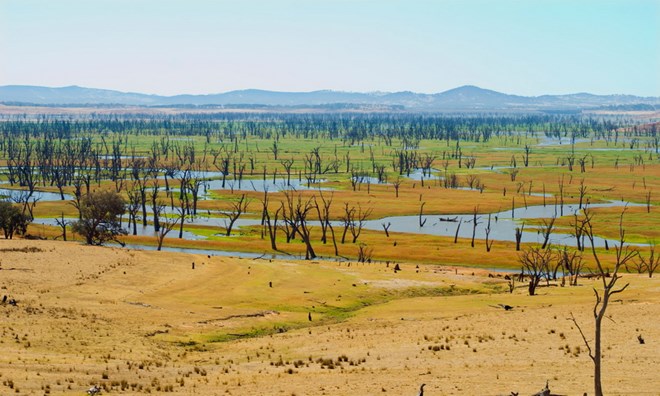 Cảnh báo hiện tượng thời tiết cực đoan El Nino tăng tần suất