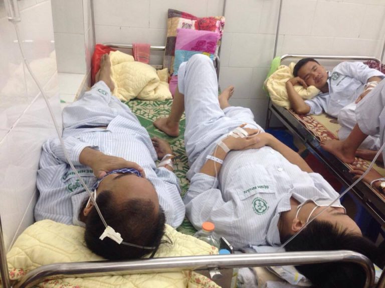 Nhận diện muỗi truyền sốt xuất huyết và vai trò của người dân