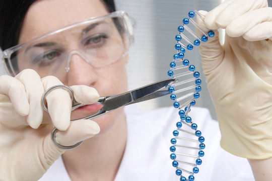 Năm 2050, con người sống ra sao?