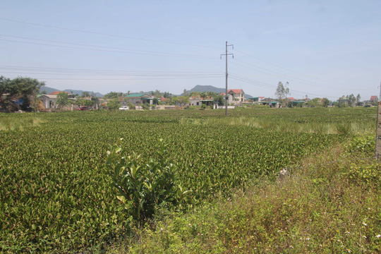 Khổ vì ô nhiễm kéo dài