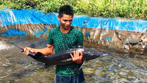 Gian nan thoát nghèo: Luẩn quẩn khuyến nông, khuyến ngư