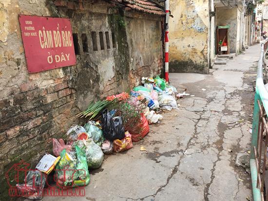 Phân loại rác tại nguồn “vỡ trận”, “tài nguyên” rác bị bỏ rơi