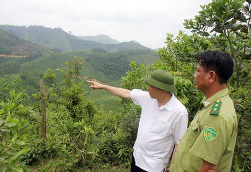Đề xuất quy định theo dõi diễn biến rừng