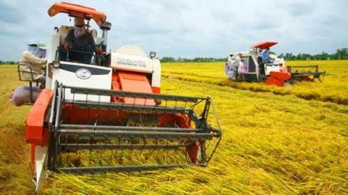 Đề xuất xây dựng chính sách hỗ trợ giảm tổn thất trong nông nghiệp