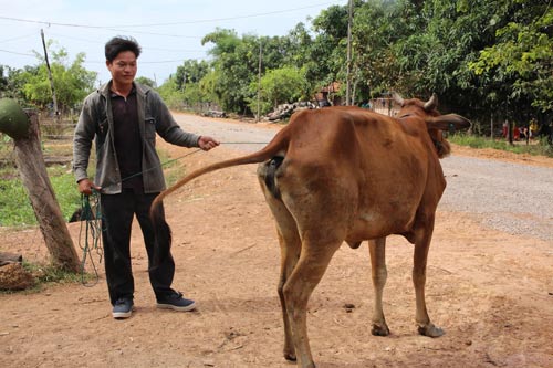 Gian nan thoát nghèo: Đừng để ngàn tỉ trôi sông