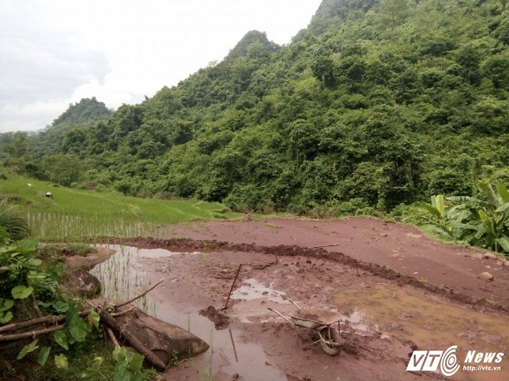 Dân thảm thiết kêu cứu rừng đầu nguồn ở Hòa Bình: “Thà bắn chết chúng tôi đi còn hơn”