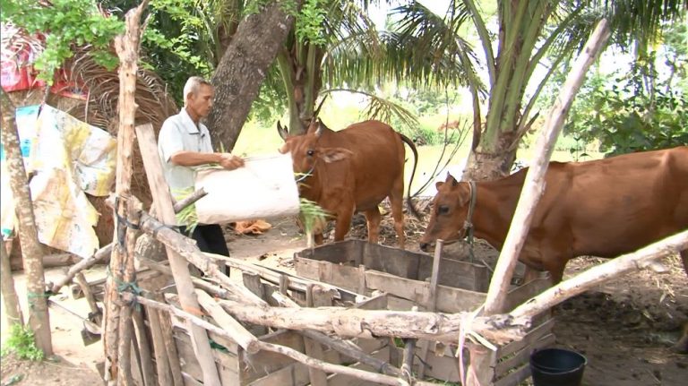 Sóc Trăng cần nhân rộng các mô hình sinh kế giảm nghèo bền vững