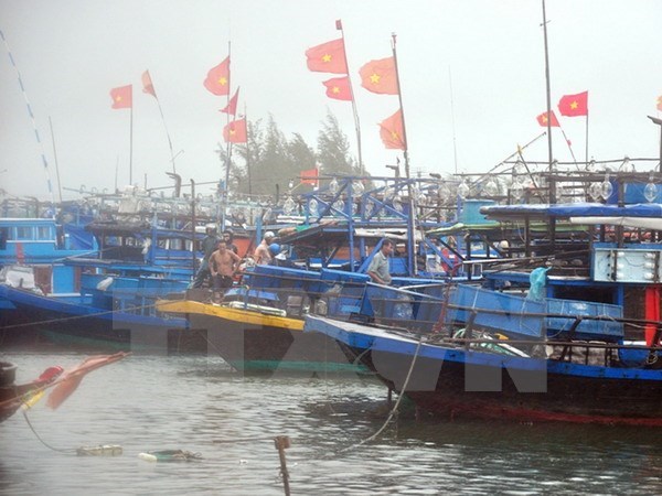 Từ nay đến hết năm, Trung Bộ có thể đón 3 cơn bão, áp thấp nhiệt đới