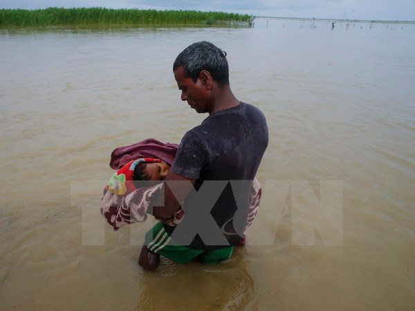 Trên 220 người thiệt mạng do lũ lụt ở Ấn Độ, Nepal và Bangladesh