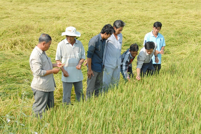 “Nói không” với thuốc bảo vệ thực vật