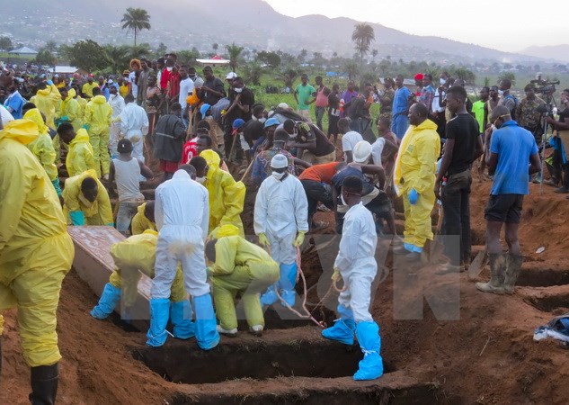 Sierra Leone: Hơn 1.000 người chết và mất tích do lũ lụt và lở đất