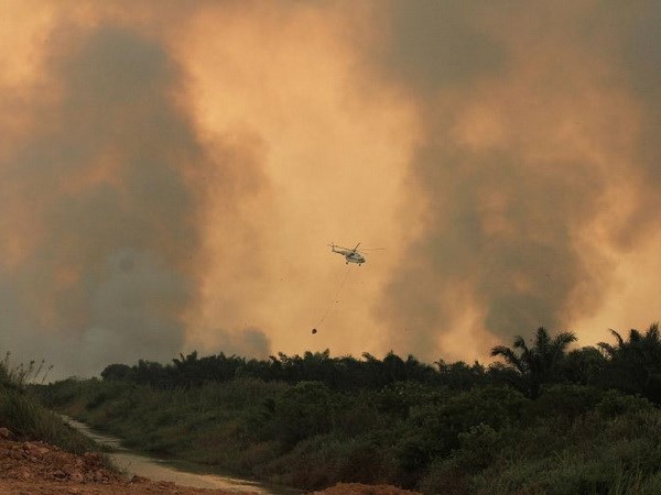 Indonesia huy động hơn 230 máy bay thả bom mưa chống cháy rừng