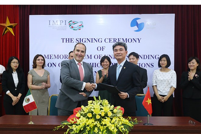 Việt Nam đã bảo hộ cho 56 chỉ dẫn địa lý trong và ngoài nước