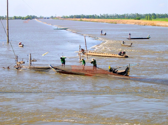 Cơ hội lớn cho ĐBSCL xả lũ bồi đắp phù sa