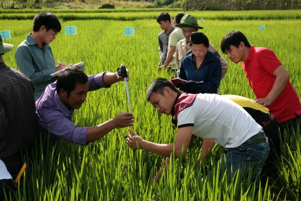 Cải thiện công tác khuyến nông nhằm thúc đẩy sản xuất nông nghiệp bền vững