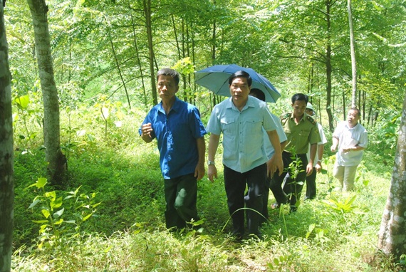 Lào Cai giao đất, giao rừng ở chưa hiệu quả