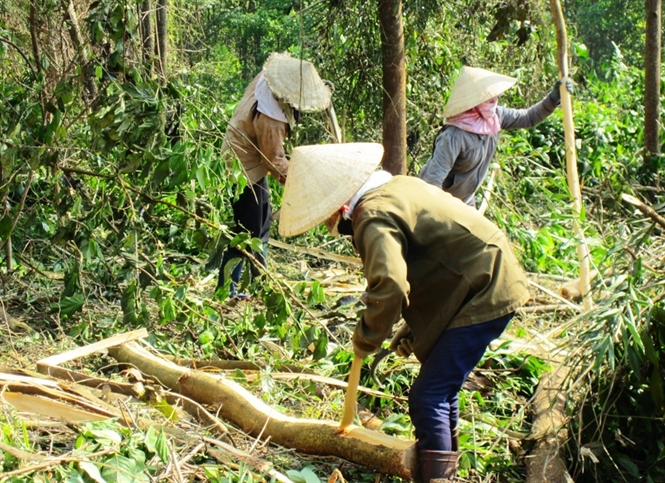 Ngành Nông nghiệp nỗ lực đạt mục tiêu tăng trưởng