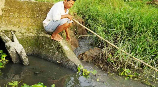 Nông dân không dám sản xuất vì nhiều tuyến kênh gần khu công nghiệp bị ô nhiễm