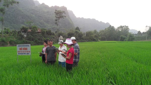 Ứng dụng thực hành nông nghiệp ứng phó BĐKH ở Tây Bắc: Thực trạng, khó khăn và đề xuất giải pháp khắc phục