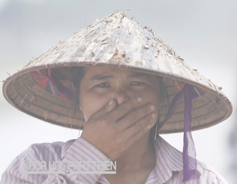 Không khí ở Việt Nam: Phát hiện bụi nano có thể “đầu độc” DNA