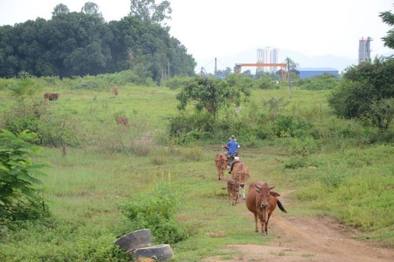 Để khu công nghệ cao không phải “trồng cỏ”, nuôi bò!