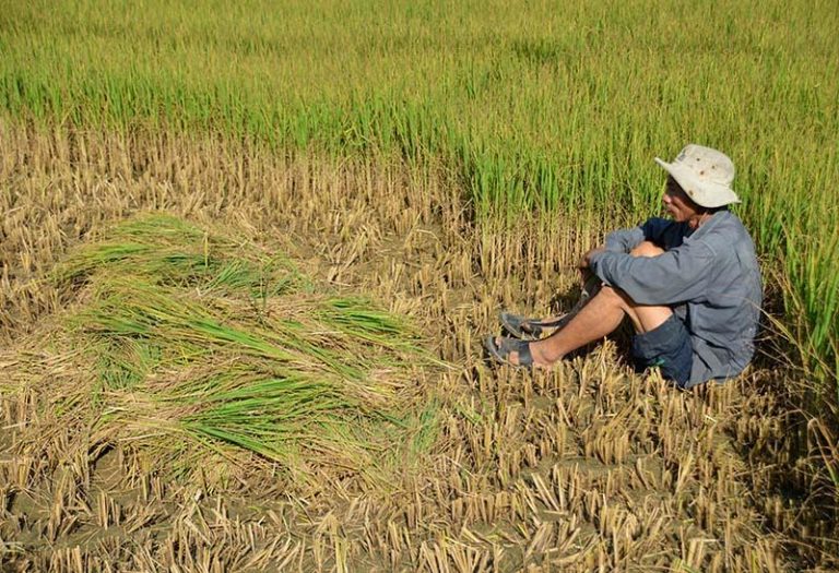 Đồng bằng sông Cửu Long và nguyên tắc “không hối tiếc”