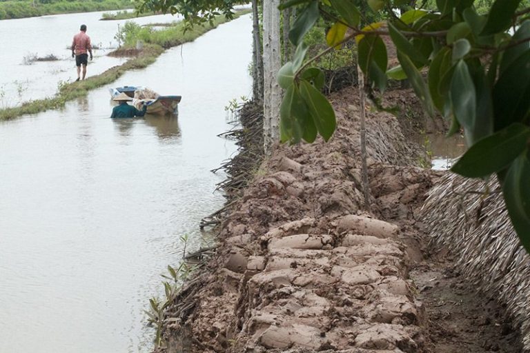 Giải bài toán khó cho Đồng bằng sông Cửu Long