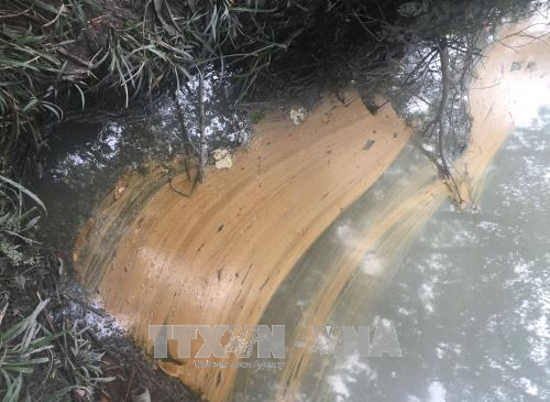 Bình Phước: Hàng trăm lít dầu tràn ra suối gây ô nhiễm môi trường