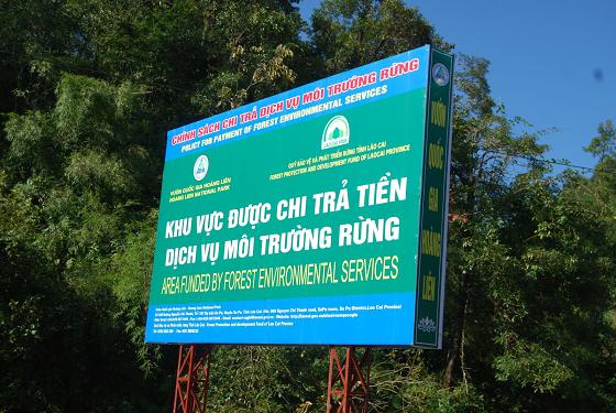 Quản lý và sử dụng tiền dịch vụ môi trường rừng