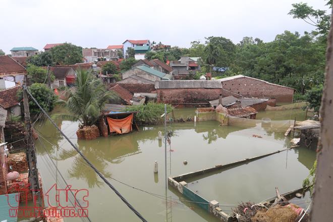 Hậu vỡ đê Hữu Bùi ở Hà Nội: Người dân Chương Mỹ vẫn vật lộn trong ngập lụt và ô nhiễm