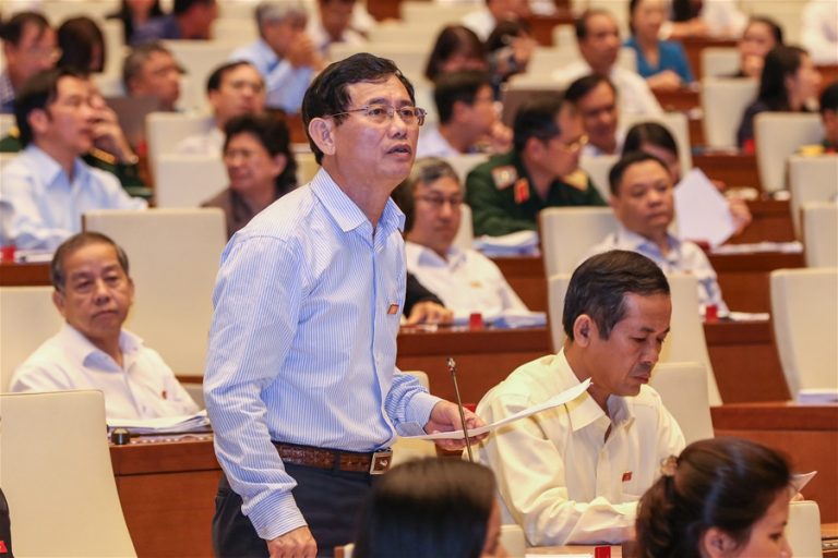 Tránh tình trạng “hợp pháp hóa” để phá rừng