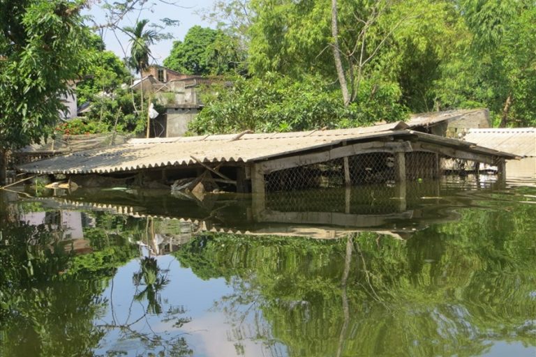Dân khổ vì đê “vỡ… theo kế hoạch”
