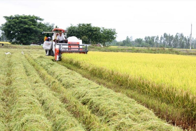 Phát triển bền vững vùng Tứ giác Long Xuyên