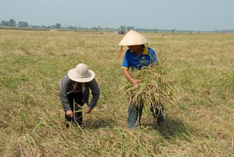 Công nghệ viễn thám: Giảm rủi ro cho nông nghiệp