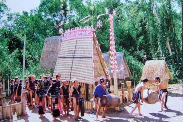 Di cư tự do – Gốc và ngọn