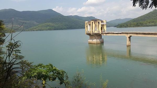 Quảng Ninh: “Cụ” rùa Hoàn Kiếm xuất hiện ở hồ Yên Lập