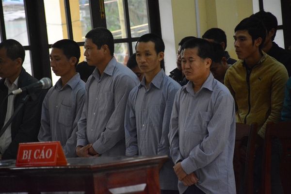 Trả hồ sơ vụ phá rừng pơ mu Quảng Nam để tiếp tục điều tra