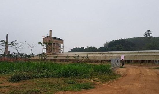 Phù Ninh (Phú Thọ): Nghi vấn nhà máy gạch hoạt động “khuất tất”, gây ô nhiễm môi trường nghiêm trọng?
